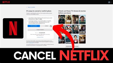 can i pause netflix subscription.
